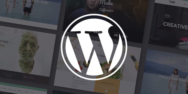 wordpress themes