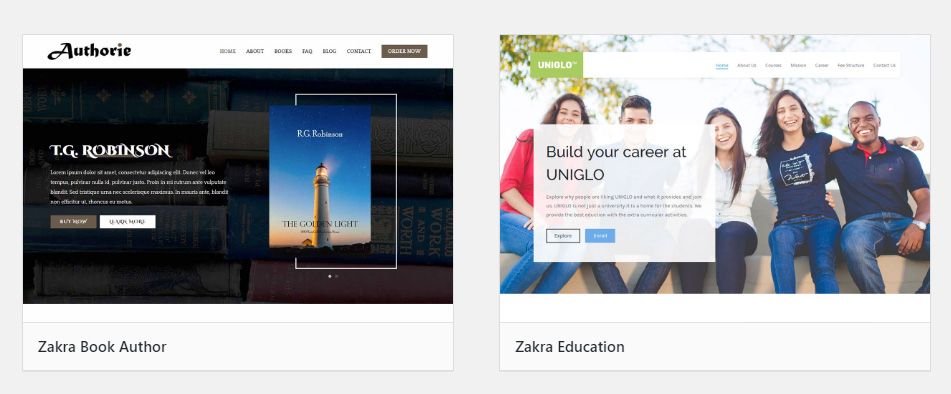 Zakra Page Builder Theme风格演示