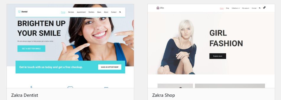 Zakra Page Builder Theme风格演示