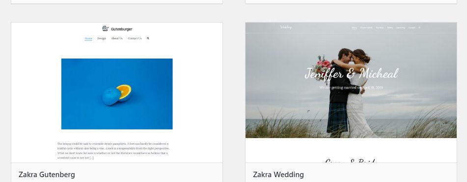 Zakra Page Builder Theme风格演示