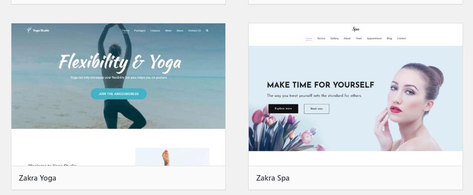 Zakra Page Builder Theme风格演示